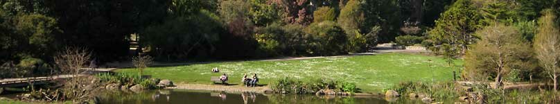 A sunny day in the park