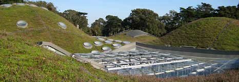 The de Young Museum in Golden Gate Park